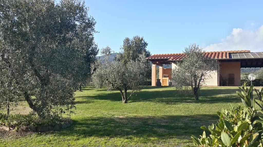 Agriturismo Casa Andreina Кастильоне дела Пеская Екстериор снимка