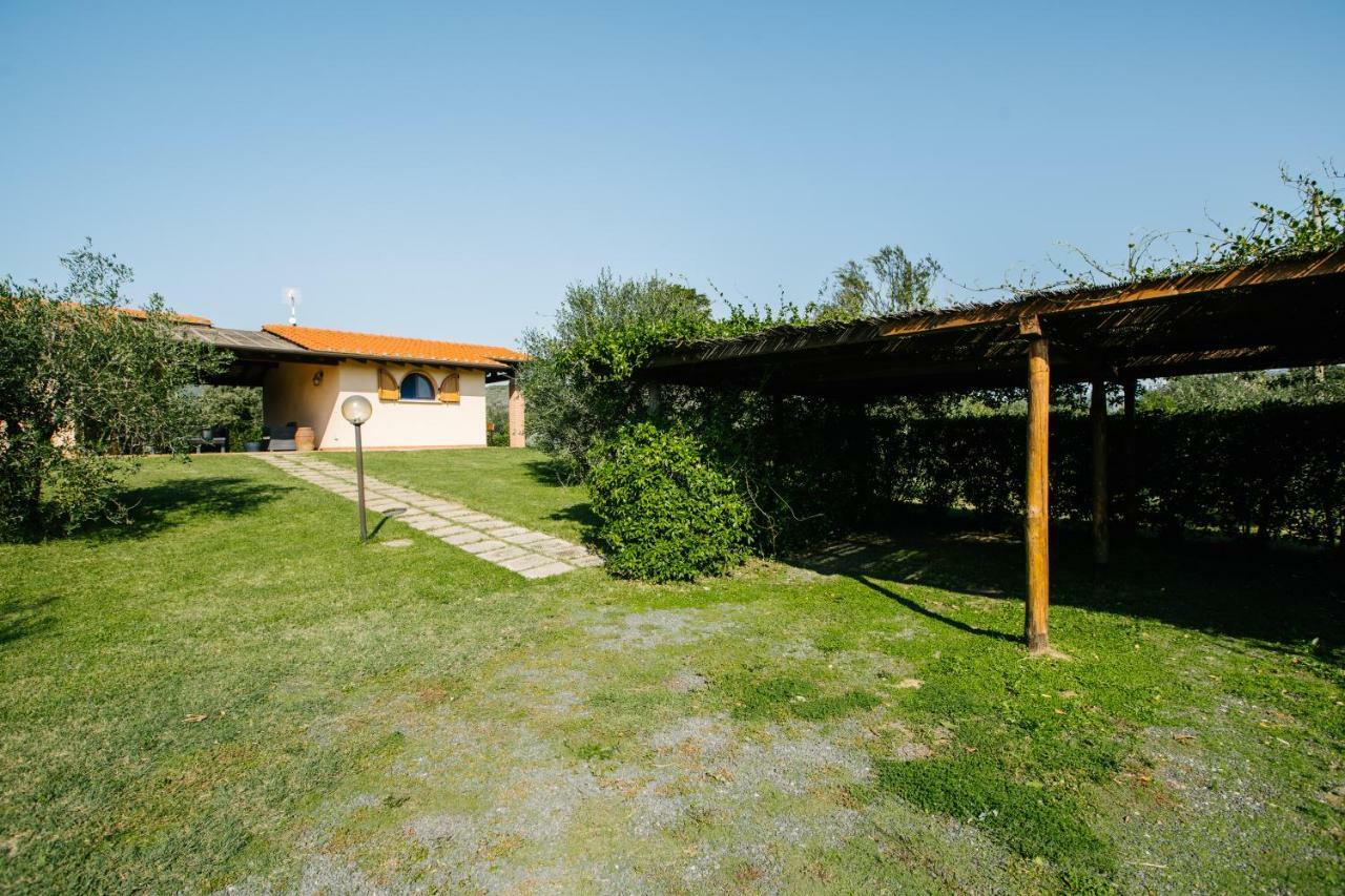 Agriturismo Casa Andreina Кастильоне дела Пеская Екстериор снимка