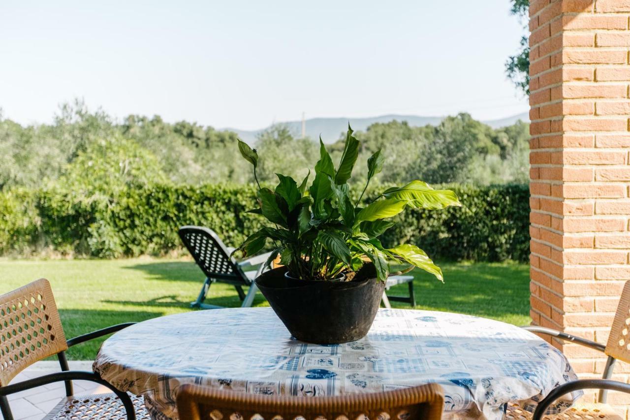 Agriturismo Casa Andreina Кастильоне дела Пеская Екстериор снимка