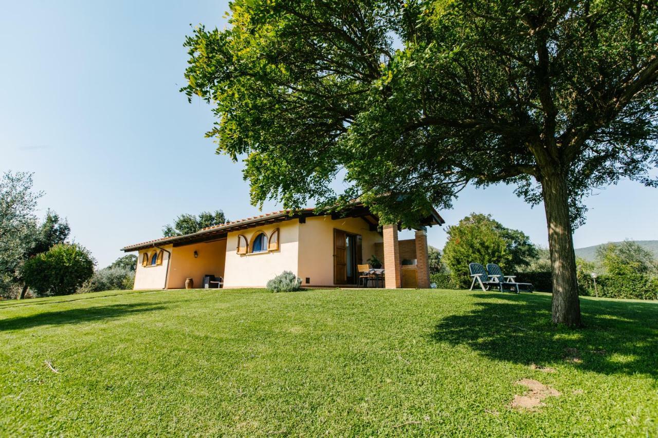 Agriturismo Casa Andreina Кастильоне дела Пеская Екстериор снимка