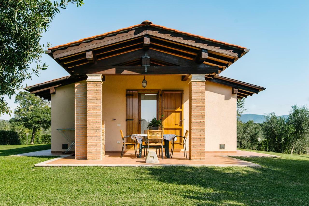 Agriturismo Casa Andreina Кастильоне дела Пеская Екстериор снимка